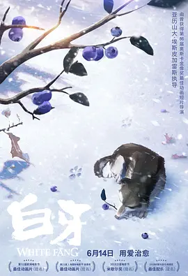 成人黄色短视频