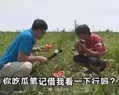 为了吃瓜进娱乐圈晋江,意外爆红的娱乐圈奇遇记