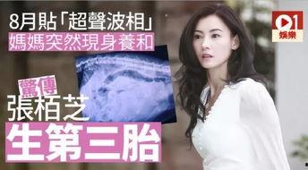 娱乐吃瓜酱母胎solo,揭秘单身一族的独特生活与情感态度