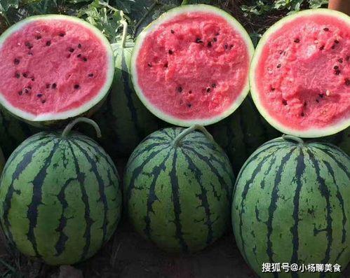 娱乐吃瓜酱的作品好朋友,揭秘娱乐圈的真挚情谊与甜蜜互动