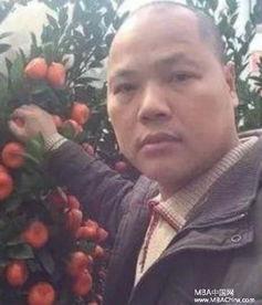 娱乐吃瓜橘子哥,揭秘明星幕后，畅谈热门八卦