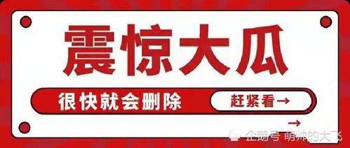 吃瓜 娱乐八卦图,吃瓜群众眼中的明星八卦图