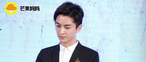 吃瓜娱乐陈晓,揭秘娱乐圈幕后故事