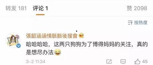 今日娱乐圈吃瓜总结,揭秘今日热点事件大揭秘