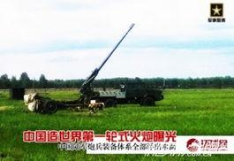 娱乐718吃瓜王大炮,吃瓜王大炮背后的故事