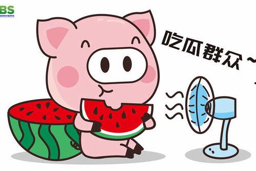 瓜瓜吃瓜娱乐,娱乐无限，揭秘娱乐圈幕后故事